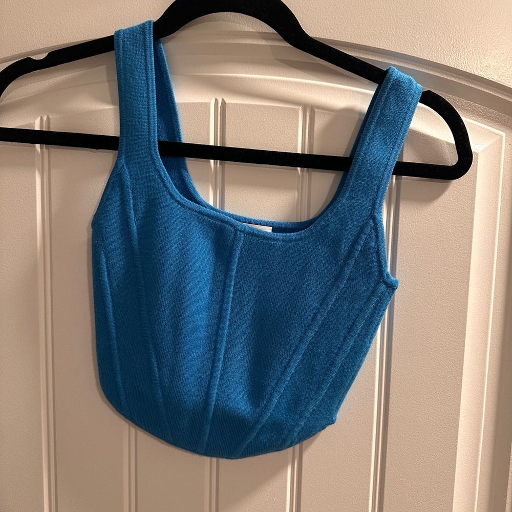 Aritzia blue corset top